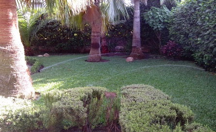 ARROSAGE COMMISAIRE 2